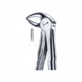 Extarcting Forceps 